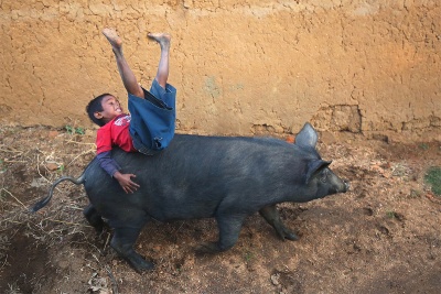 Passeio de Alegria